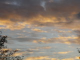 IMGP7120.JPG