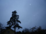 IMGP7290.JPG