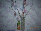 DSCN7465.JPG
