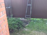 IMG_20160902_071847.jpg