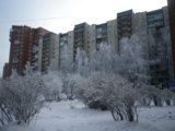 IMGP7749.JPG