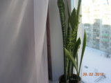 DSCN7555.JPG