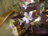 DSCN7561.JPG