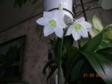 DSCN7562.JPG