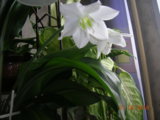 DSCN7563.JPG