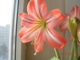 DSCN7534.JPG