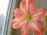 DSCN7536.JPG