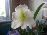 DSCN7567.JPG