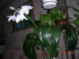 DSCN8086.JPG