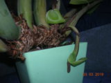 DSCN8095.JPG