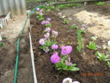 DSCN5334.JPG