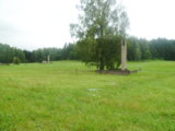 SAM_3197.JPG