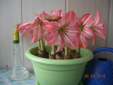 DSCN8106.JPG