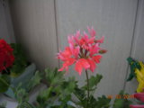 DSCN8114.JPG