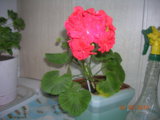 DSCN8113.JPG