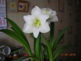 DSCN8132.JPG