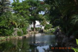 DSC_6546.JPG