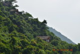 DSC_6556.JPG