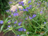 DSCN8933.JPG