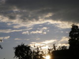 IMGP8306.JPG
