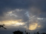 IMGP8649.JPG