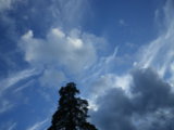 IMGP8701.JPG