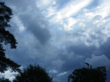 IMGP8717.JPG