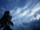 IMGP8723.JPG
