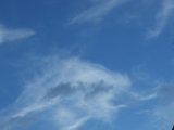 IMGP8733.JPG