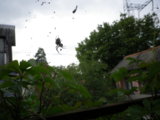 IMGP8859.JPG