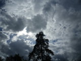 IMGP8809.JPG