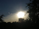 IMGP8817.JPG
