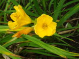 IMGP8827.JPG