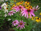 IMGP8840.JPG