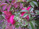 IMGP8947.JPG
