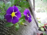 IMGP9003.JPG