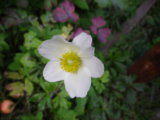 IMGP9029.JPG