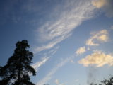 IMGP8967.JPG