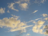 IMGP8969.JPG