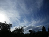 IMGP8975.JPG