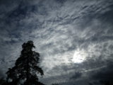 IMGP9008.JPG