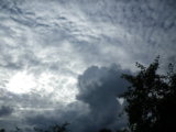 IMGP9009.JPG