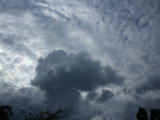 IMGP9011.JPG