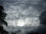 IMGP9012.JPG
