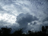 IMGP9013.JPG
