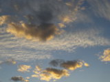 IMGP9518.JPG