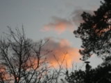 IMGP9540.JPG
