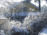 IMGP9710.JPG