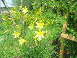 DSCN9156.JPG