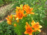 DSCN9179.JPG